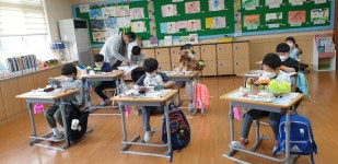 학교소식 > 전체 > 구좌중앙초, ‘우리의 꿈을 키워요!’ 진로체험 한마음 축제 열려 | 제주교육소식