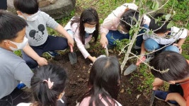 학교소식 > 유치원/초등학교 > 하례초, 학교화단에 제주의 자생식물을 심다! | 제주교육소식