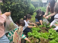 학교소식 > 유치원/초등학교 > 신례초, 어린 농부의 ‘예빛고운 식물농장’ 가꾸기를 통한 텃밭 교육과 가정내 밥상머리 교육 연계 운영... 