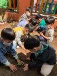 학교소식 > 유치원/초등학교 > 동화초병설유치원, 식생활 교육 지원 사업 실시 | 제주교육소식
