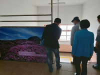 학교소식 > 유치원/초등학교 > 월랑초, 2021 국제안전 시범학교 찾아가는 컨설팅 실시 | 제주교육소식