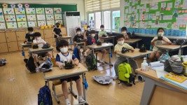 학교소식 > 유치원/초등학교 > 광령초, 1, 2학년 교내 체험학습 실시 | 제주교육소식