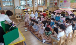 학교소식 > 전체 > 신광초병설유치원, 찾아오는 구강보건교육 실시 | 제주교육소식