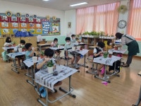 학교소식 > 유치원/초등학교 > 대정서초, ‘2021 꿈ㆍ끼탐색 진로체험’ 실시 | 제주교육소식