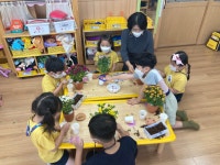 학교소식 > 유치원/초등학교 > 신광초병설유치원, 원감선생님과 함께하는 마음 자람 원예 놀이 실시 | 제주교육소식