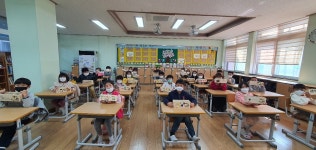 학교소식 > 유치원/초등학교 > 중문초, 나무와 함께하는 1학년 교내체험학습 운영 | 제주교육소식