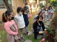 학교소식 > 유치원/초등학교 > 월랑초등학교병설유치원, 찾아오는 원예체험 실시 | 제주교육소식
