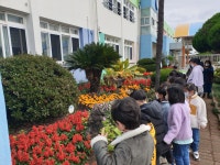 학교소식 > 유치원/초등학교 > 보목초, 보목어린이집 원아 초청 학교와 친해지기 프로그램 운영 | 제주교육소식