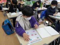 학교소식 > 유치원/초등학교 > 광령초, 세계시민교육 실시 | 제주교육소식