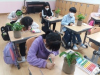 학교소식 > 유치원/초등학교 > 평대초, 생명존중 교육주간 반려식물 가꾸기 프로그램 운영 | 제주교육소식