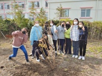 학교소식 > 유치원/초등학교 > 어도초, 식목일 맞아 ‘희망의 나무 심기’ 행사 실시 | 제주교육소식