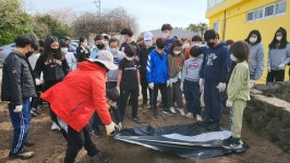 학교소식 > 유치원/초등학교 > 저청초, 식목일 맞이 학부모 재능기부로 작은 텃밭 만들어 | 제주교육소식