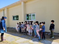 학교소식 > 유치원/초등학교 > 어도초등학교병설유치원 텃밭가꾸기 활동 실시 | 제주교육소식