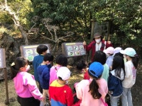 학교소식 > 유치원/초등학교 > 보목초, [생태의 보고 곶자왈과 제주역사문화] 살펴보기 | 제주교육소식