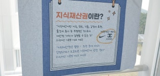 학교소식 > 유치원/초등학교 > 표선중, IB 학습자상에 맞는 원칙을 지키는 사람을 추구하다 | 제주교육소식