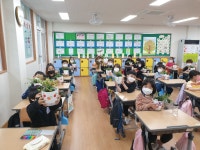 학교소식 > 유치원/초등학교 > 인화초, 2학년 ‘화분 꾸미기’ 교내체험학습 실시 | 제주교육소식