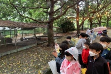 학교소식 > 유치원/초등학교 > 서귀포초, 4학년 현장체험학습으로 일출랜드를 다녀오다 | 제주교육소식