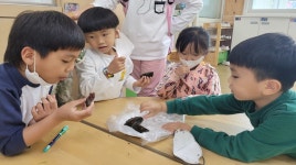 학교소식 > 유치원/초등학교 > 흥산초, 제주사랑의 날 행사와 흥산살이 활동 실시 | 제주교육소식