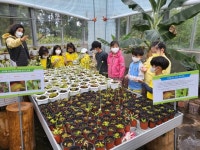 학교소식 > 유치원/초등학교 > 위미초, 1학년 현장체험학습 실시 | 제주교육소식