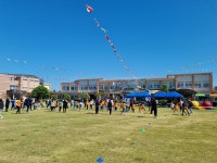 학교소식 > 유치원/초등학교 > 시흥초, 2022 시흥 가족 도를락(樂) 축제 실시 | 제주교육소식