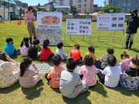 학교소식 > 유치원/초등학교 > 한천초병설유치원, 학교운동장으로 찾아온 말들과 즐거운 하루 | 제주교육소식