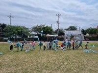 학교소식 > 유치원/초등학교 > 효돈초병설유치원, 네트워크 놀멍, 배우멍 과학체험놀이 실시 | 제주교육소식