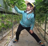 학교소식 > 특수학교 > 제주영송학교, 딸기농장 현장 체험 학습 실시 | 제주교육소식