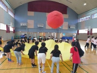 학교소식 > 유치원/초등학교 > 월랑초, 2022 월랑스포츠데이 실시 | 제주교육소식