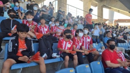 학교소식 > 유치원/초등학교 > 대정초 축구부, 대정초 교육 가족이 함께하는 제주 유나이티드 FC 경기 관람 문화 체험 실시 | 제주교육소식