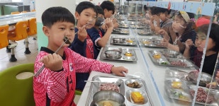 학교소식 > 유치원/초등학교 > 월랑초, 월랑푸르미 꽃밭, 텃밭 운영 | 제주교육소식
