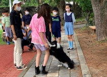 학교소식 > 유치원/초등학교 > 도순초, 꿈을 찾아 진로여행을 떠나다! | 제주교육소식