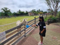 학교소식 > 유치원/초등학교 > 무릉초, 3~4학년 더마파크&라온ZOO 체험활동 실시 | 제주교육소식