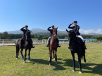 학교소식 > 유치원/초등학교 > 서귀포산업과학고등학교, 말산업 전문인력양성기관 전국단위 평가 2년 연속 우수(최고점) | 제주교육소식