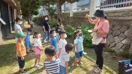 학교소식 > 전체 > 월랑초등학교병설유치원, 찾아오는 자연 놀이 실시 | 제주교육소식