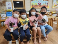 학교소식 > 유치원/초등학교 > 월랑초등학교병설유치원, 찾아오는 원예 체험 실시 | 제주교육소식