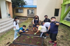 학교소식 > 유치원/초등학교 > 신례초, 2022년 2학기 예빛 텃밭 모종 심기 | 제주교육소식
