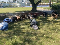 학교소식 > 유치원/초등학교 > 표선초병설유치원 방과후놀이쉼터 학부모 놀이코칭 연수 실시 | 제주교육소식