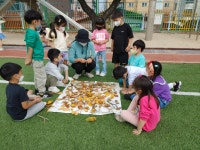 학교소식 > 유치원/초등학교 > 신광초병설유치원, ‘찾아가는 현장지원 프로그램(자연놀이)’ 실시 | 제주교육소식