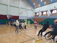 학교소식 > 유치원/초등학교 > 대정초병설유, 으랏차차! 학부모 참여 가족 운동회 | 제주교육소식