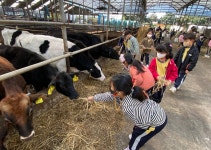 학교소식 > 유치원/초등학교 > 월랑초등학교병설유치원, 홍스랜드 현장 체험학습 실시 | 제주교육소식