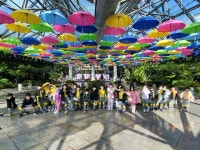 학교소식 > 유치원/초등학교 > 신광초병설유치원, ‘여미지식물원 현장체험학습’ 실시 | 제주교육소식