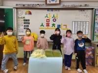 학교소식 > 유치원/초등학교 > 삼성초, 2022학년도 삼성 스포츠리그 ‘동행’ 운영 | 제주교육소식