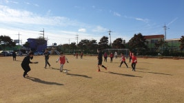 학교소식 > 유치원/초등학교 > 흥산초, 사제동행 스포츠 활동으로 사제간 정 나누며 즐거운 시간 보내 | 제주교육소식
