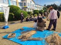 학교소식 > 유치원/초등학교 > 안덕초, 교육회복을 위한 찾아가는 공동체놀이 프로그램 운영 | 제주교육소식