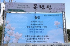 학교소식 > 중학교 > 서귀중앙여자중학교 2023학년도 입학식, 새내기 웃음꽃 만개 | 제주교육소식