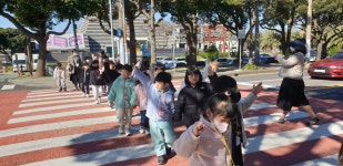 학교소식 > 전체 > 인화초병설유치원, 횡단보도 건너기 교통안전교육 실시 | 제주교육소식
