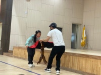 학교소식 > 유치원/초등학교 > 하원초병설유치원, 문화예술체험 마술공연 관람 | 제주교육소식