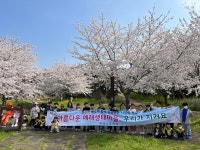 학교소식 > 유치원/초등학교 > 예래초등학교, 예래 생태 마을 지킴이 캠페인 활동 실시 | 제주교육소식