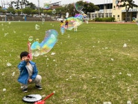 학교소식 > 유치원/초등학교 > 무릉초병설유치원, ‘하늘과 함께 버블쇼’ 체험 실시 | 제주교육소식
