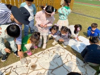 학교소식 > 유치원/초등학교 > 월랑초등학교병설유치원, 찾아오는 자연놀이 실시 | 제주교육소식